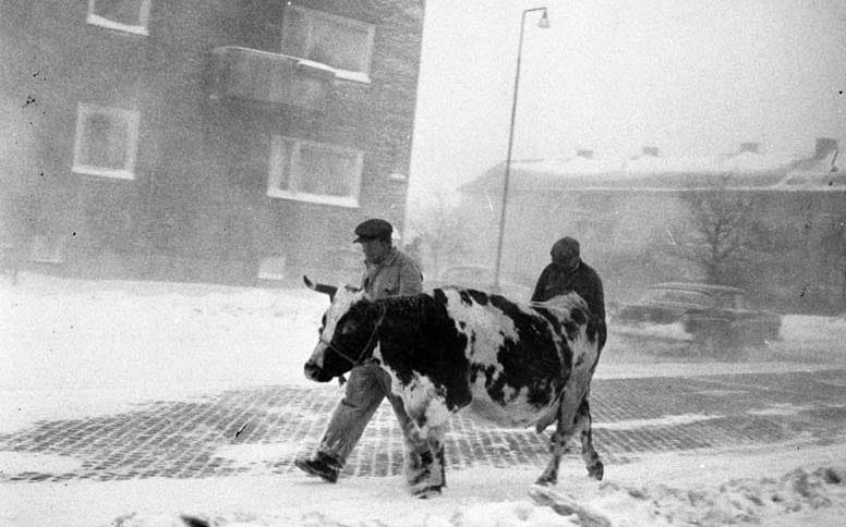 Snö på västkusten - och en och annan orkan