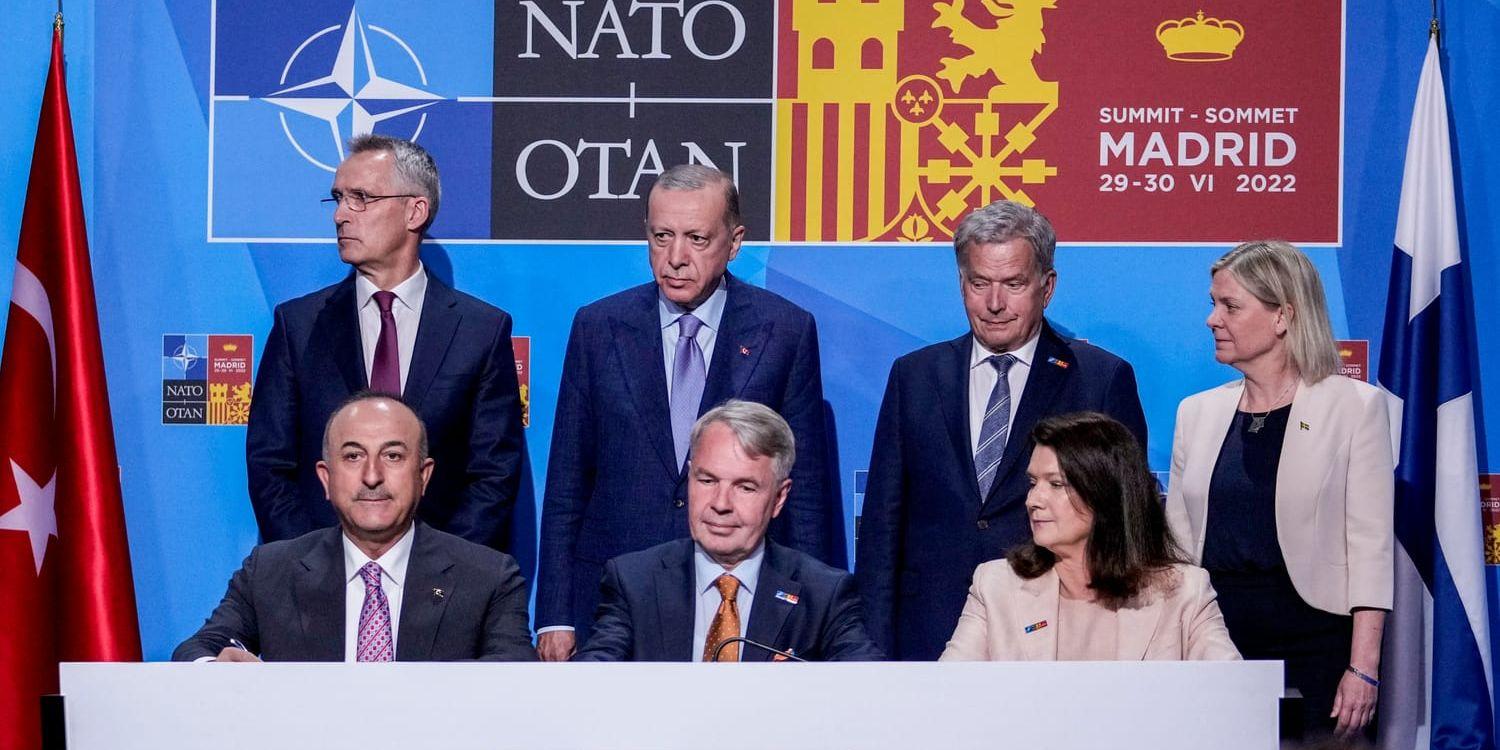 Natos generalsekreterare Jens Stoltenberg, Turkiets president Recep Tayyip Erdogan, Finlands president Sauli Niinisto, statsminister Magdalena Andersson, Turkiets utrikesminister Mevlut Cavusoglu, Finlands utrikesminister Minister Pekka Haavisto, och utrikesminister Ann Linde kort före att avtalet mellan länderna signerades under Natotoppmötet i Madrid. 