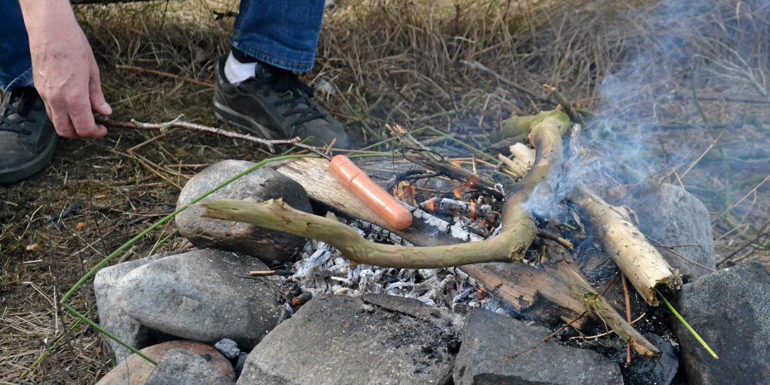 Från onsdag klockan 12 är det åter tillåtet att grilla ute i naturen i Strömstads kommun. Arkivbild.