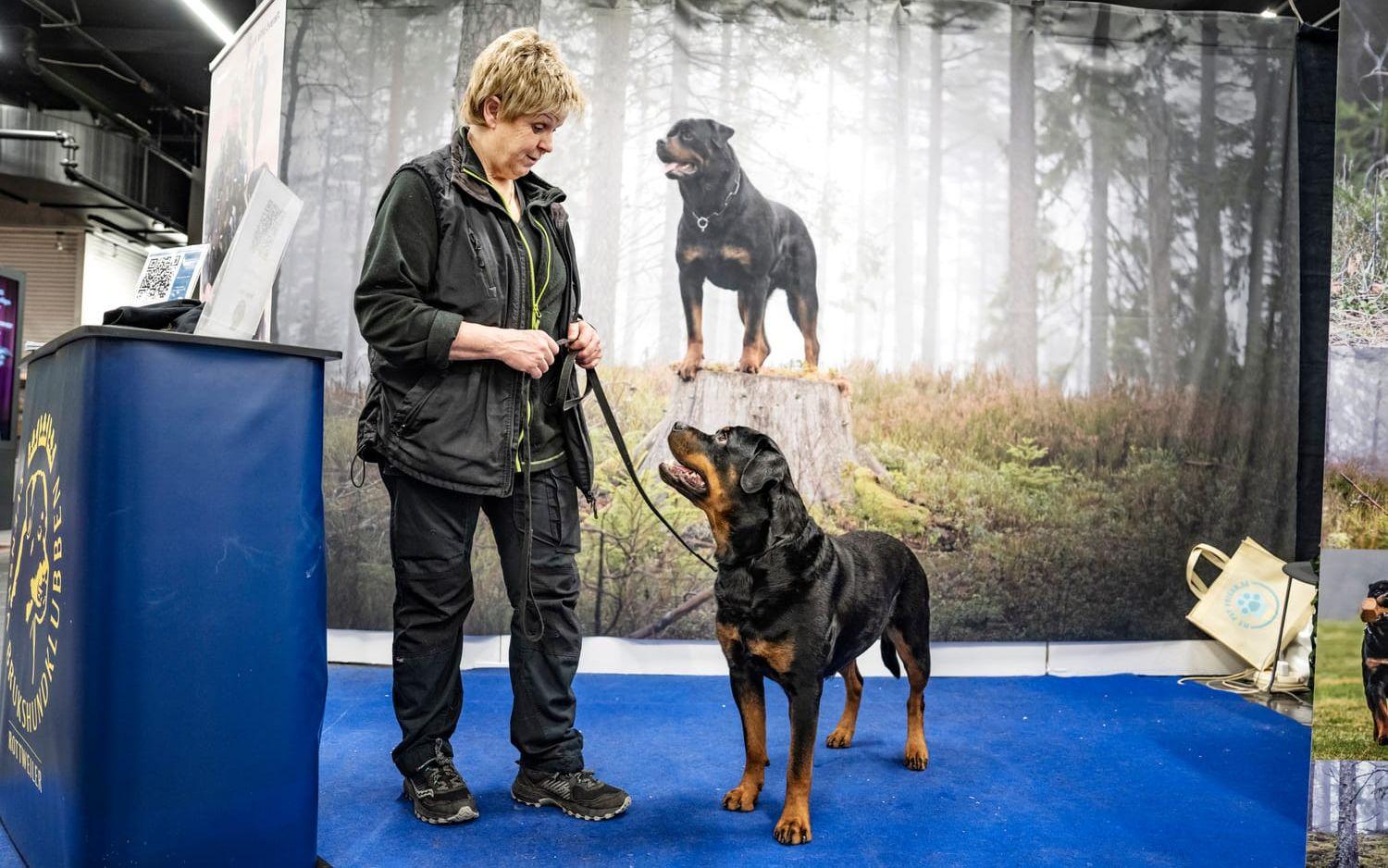 Ulrika Evenås är på plats med sin fyraåriga rottweiler. Millie står i rasmontern för andra året i rad och har hunnit hälsa på många nyfikna besökare under första dagen. I vanliga fall är Millie tjänstehund i hemvärnet. ”Hon är duktig på spår. Det är en rolig sysselsättning och en viktig uppgift. Rottweilern är väldigt lämpad just som patrullhund”, säger Ulrika Evenås.