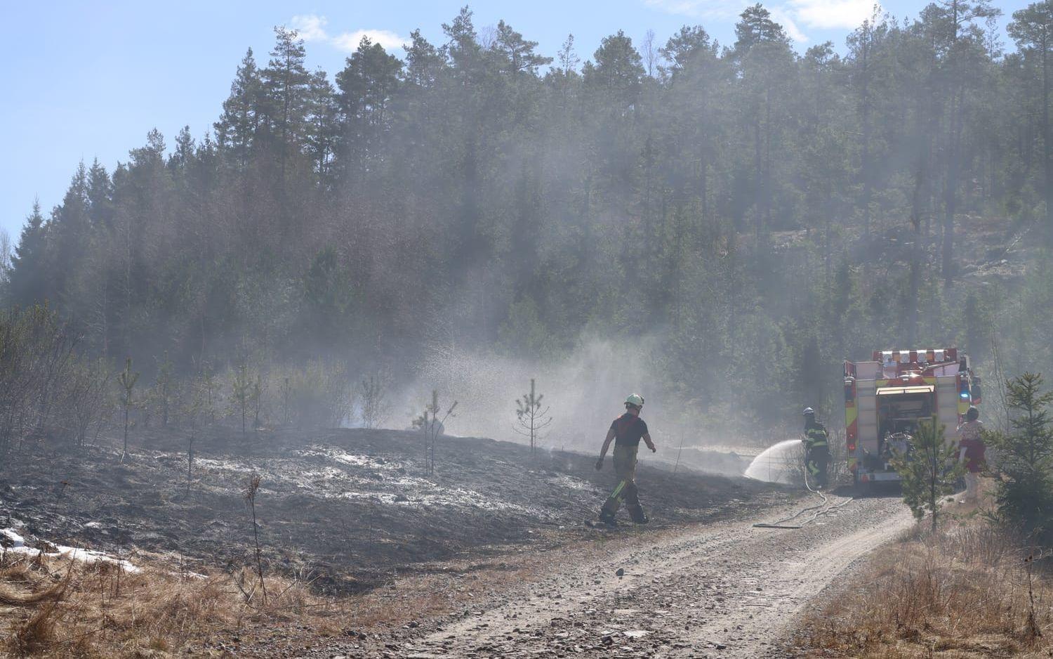 Bilbrand sprider sig i terrängen